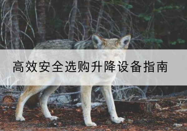 武侯升降货梯厂家推荐-*安全选购升降设备指南
