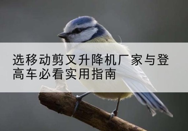 武侯电动升降机厂家-选移动剪叉升降机厂家与登高车必看实用指南